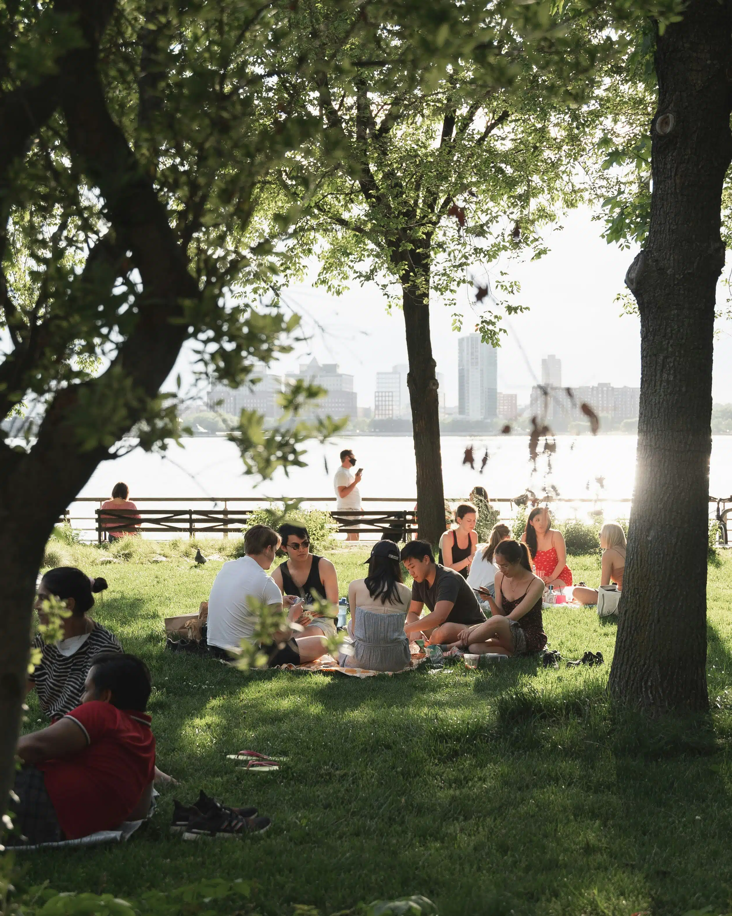 Offline Zone - auf der Wiese