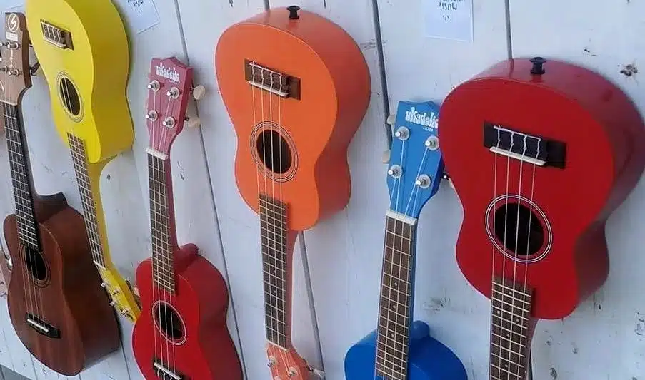Ukulele Workshop